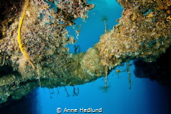 Underwater mirror
 by Anne Hedlund 